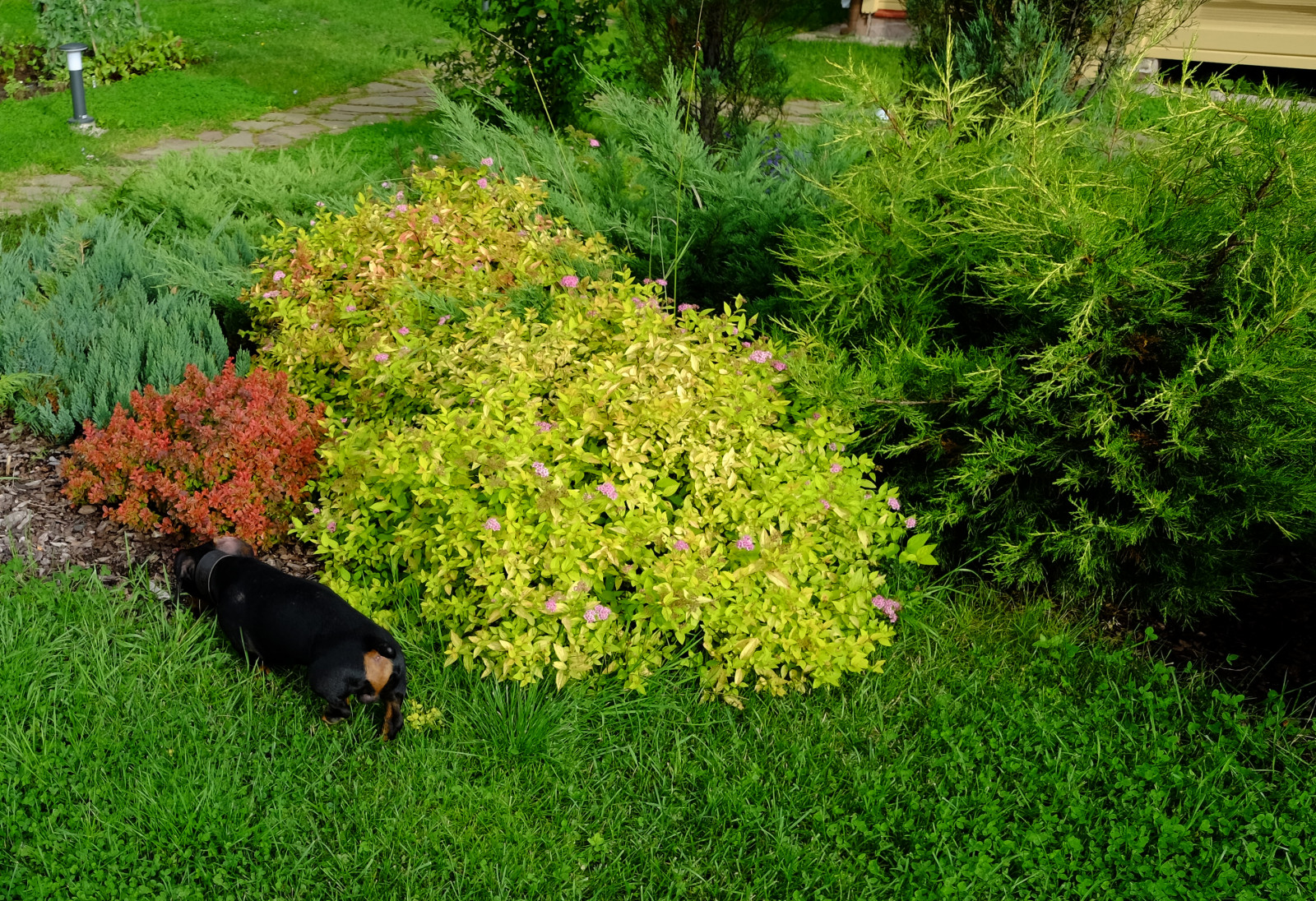 Обложка альбома: _______________740's ideas