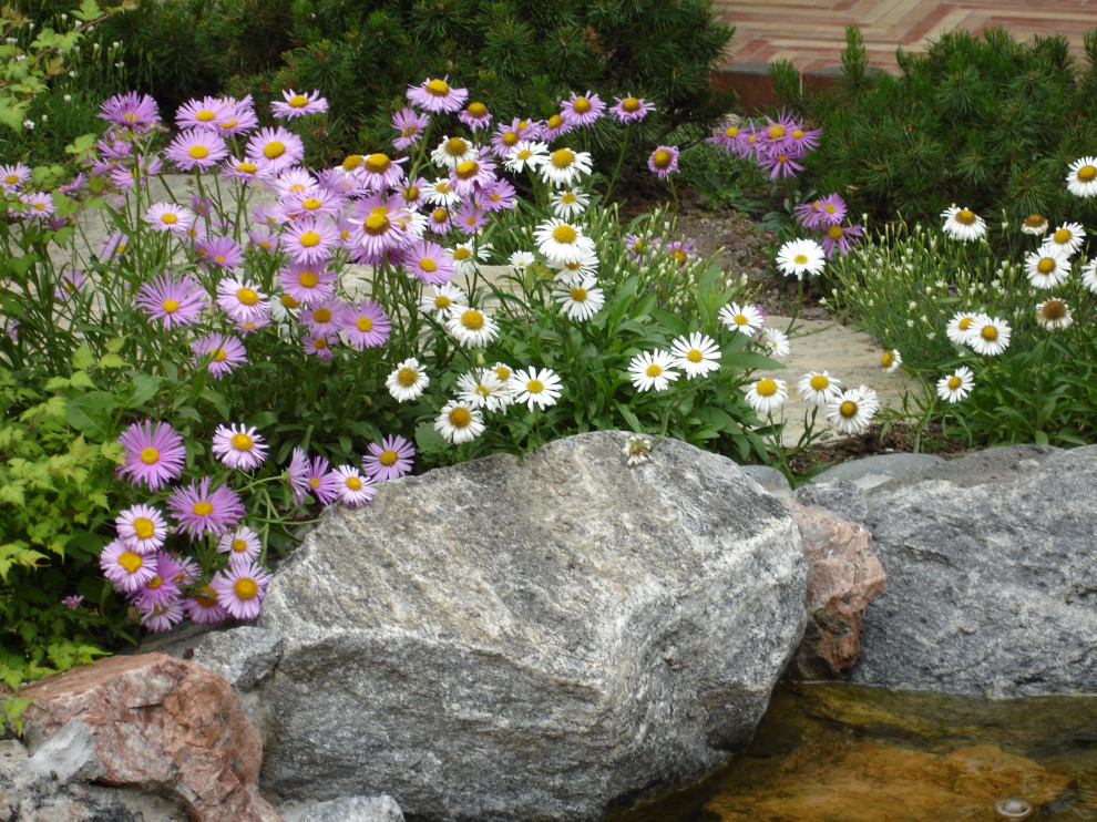 Сад с водопадом. Калчуга 2006 г