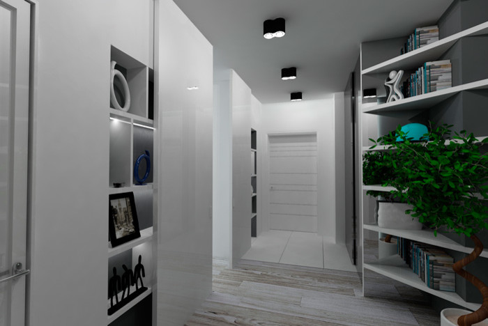 3-х комнатная квартира площадью 80 м2 (Подмосковье)