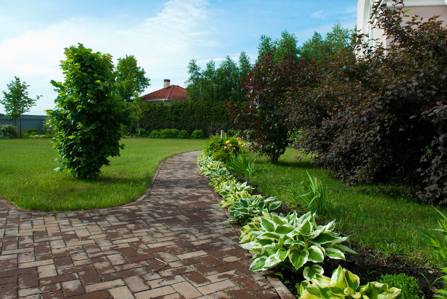 Новый свет, 18 соток