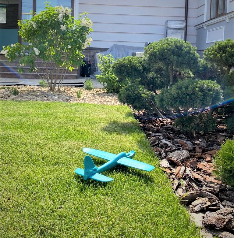 Обложка проекта: "Оазис"