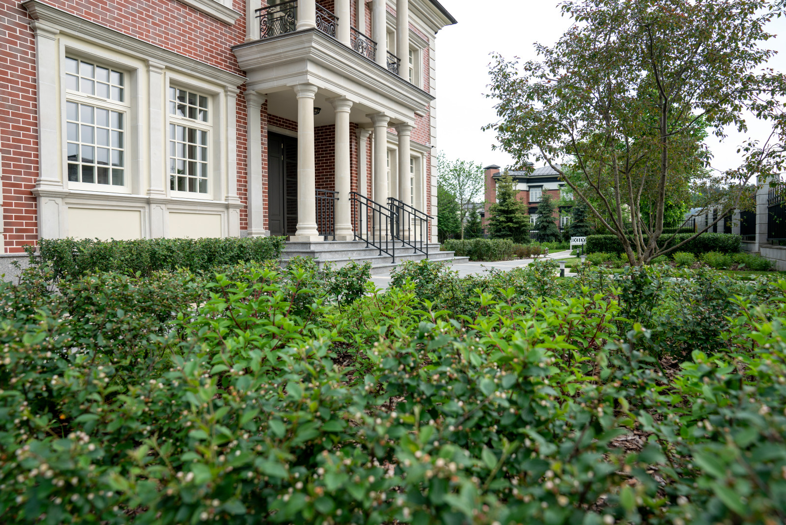 Английская неоклассика в Парквилл. 2019 г.