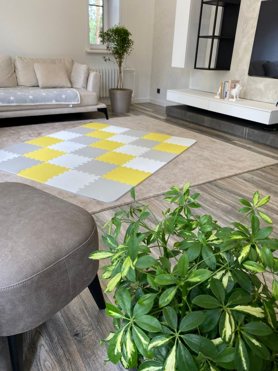 Уютная терраса и гостинная с растениями