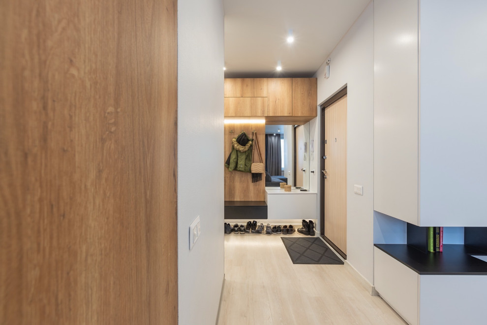 Spacious entrance hall in modern style