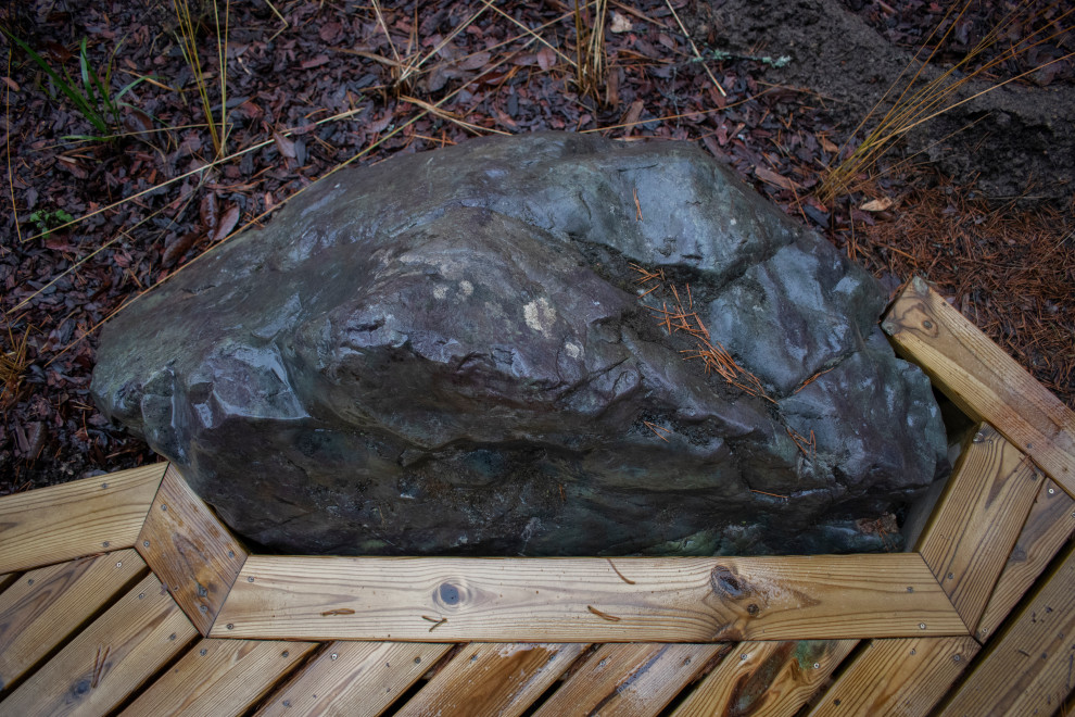 Проект "Волшебное озеро"