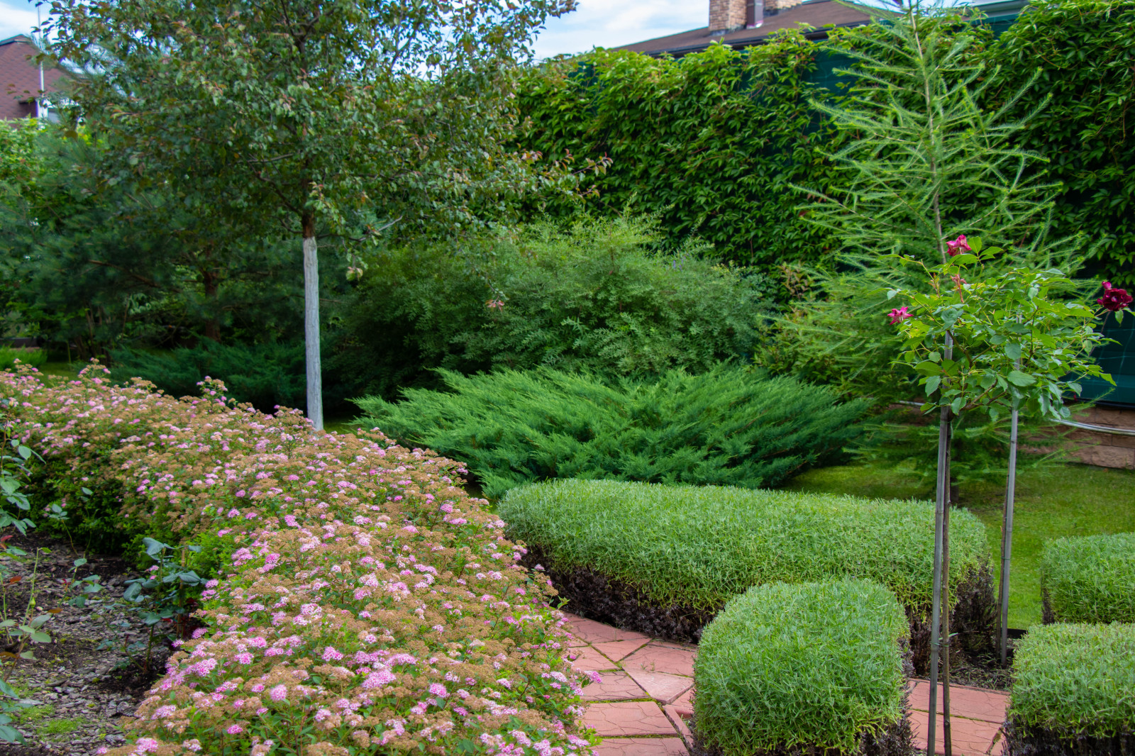 Французский садик в поселке Рыбаки Дмитровское шоссе