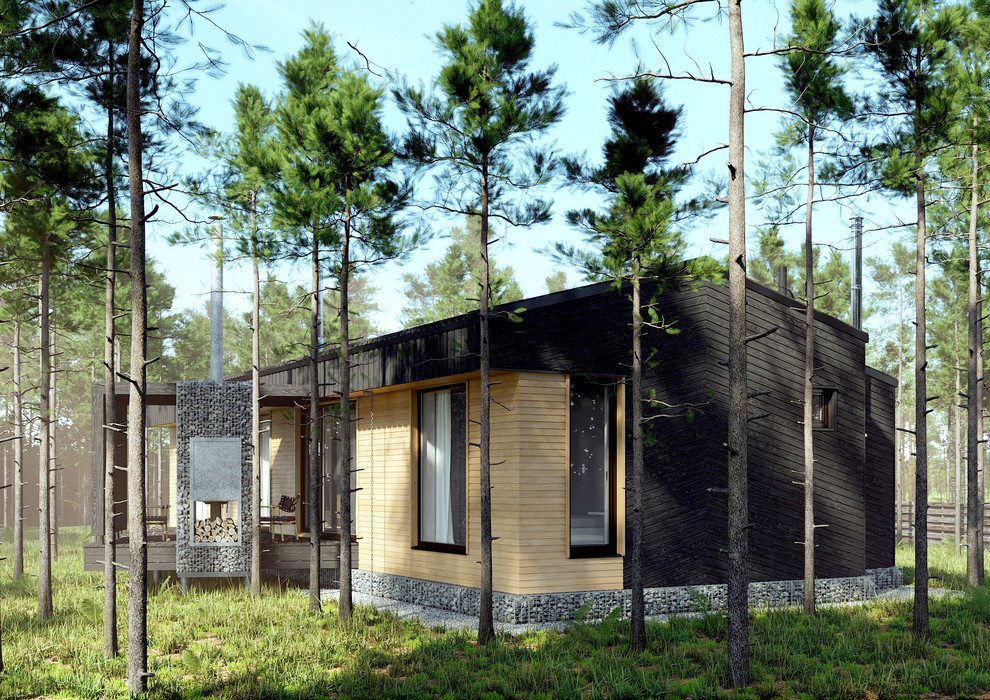 AMBAR архитектура