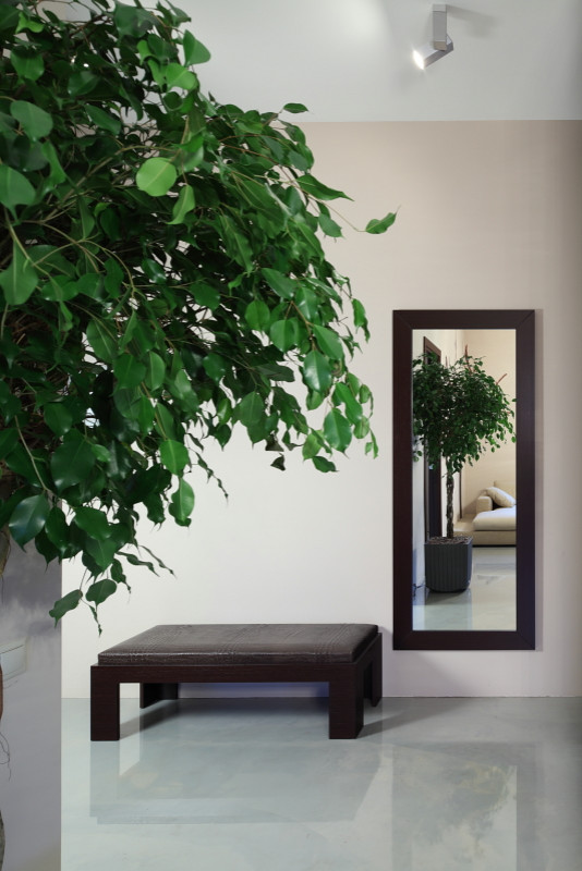 Квартира продюсера