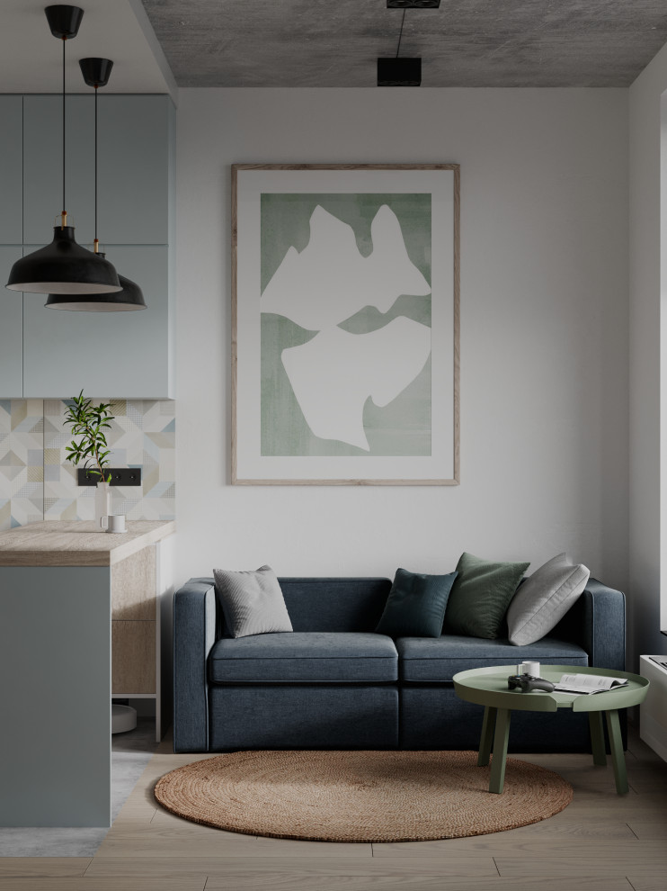 Minimalist apartment