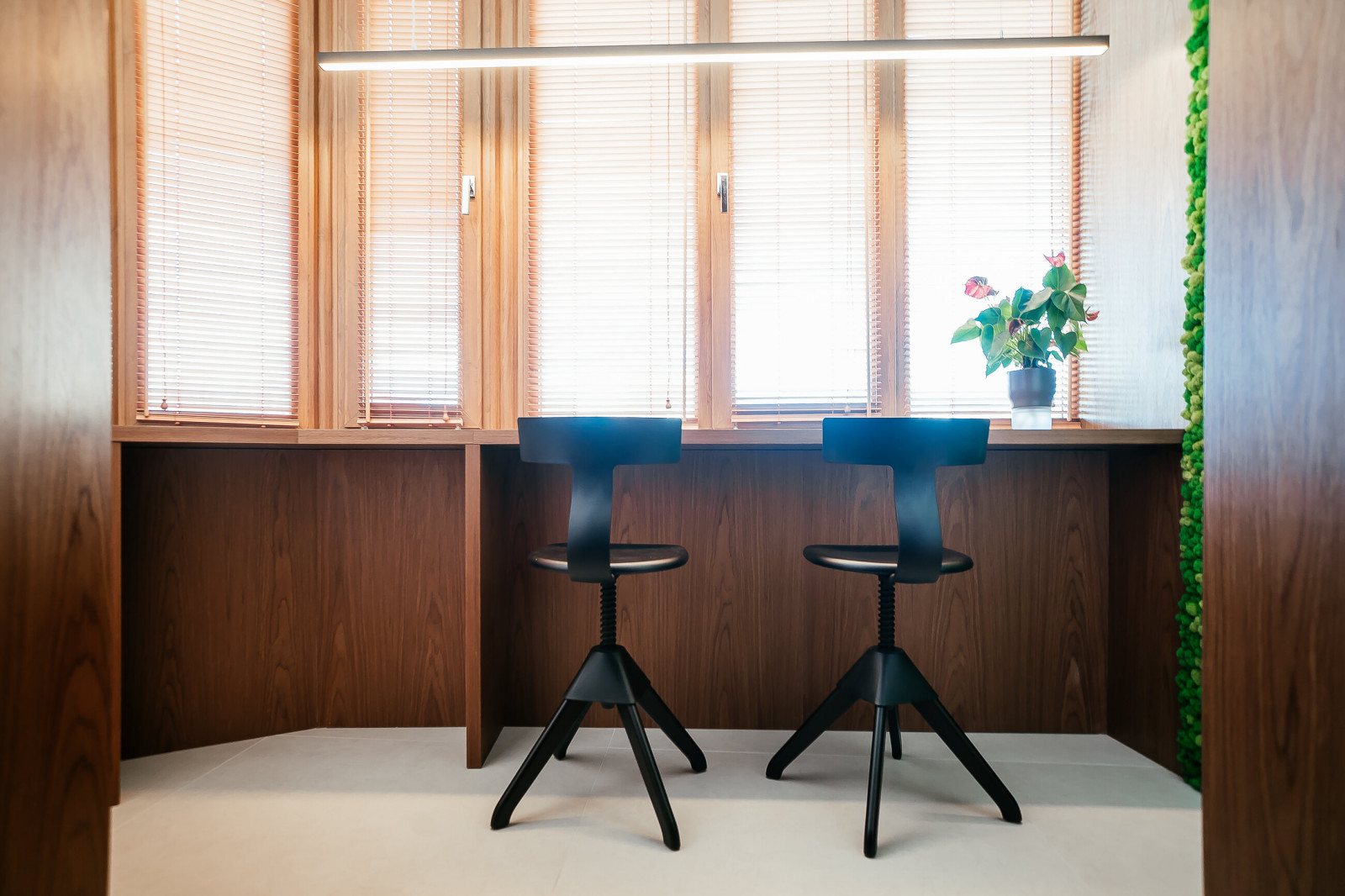 Novgorod House 2.0 (Photo)