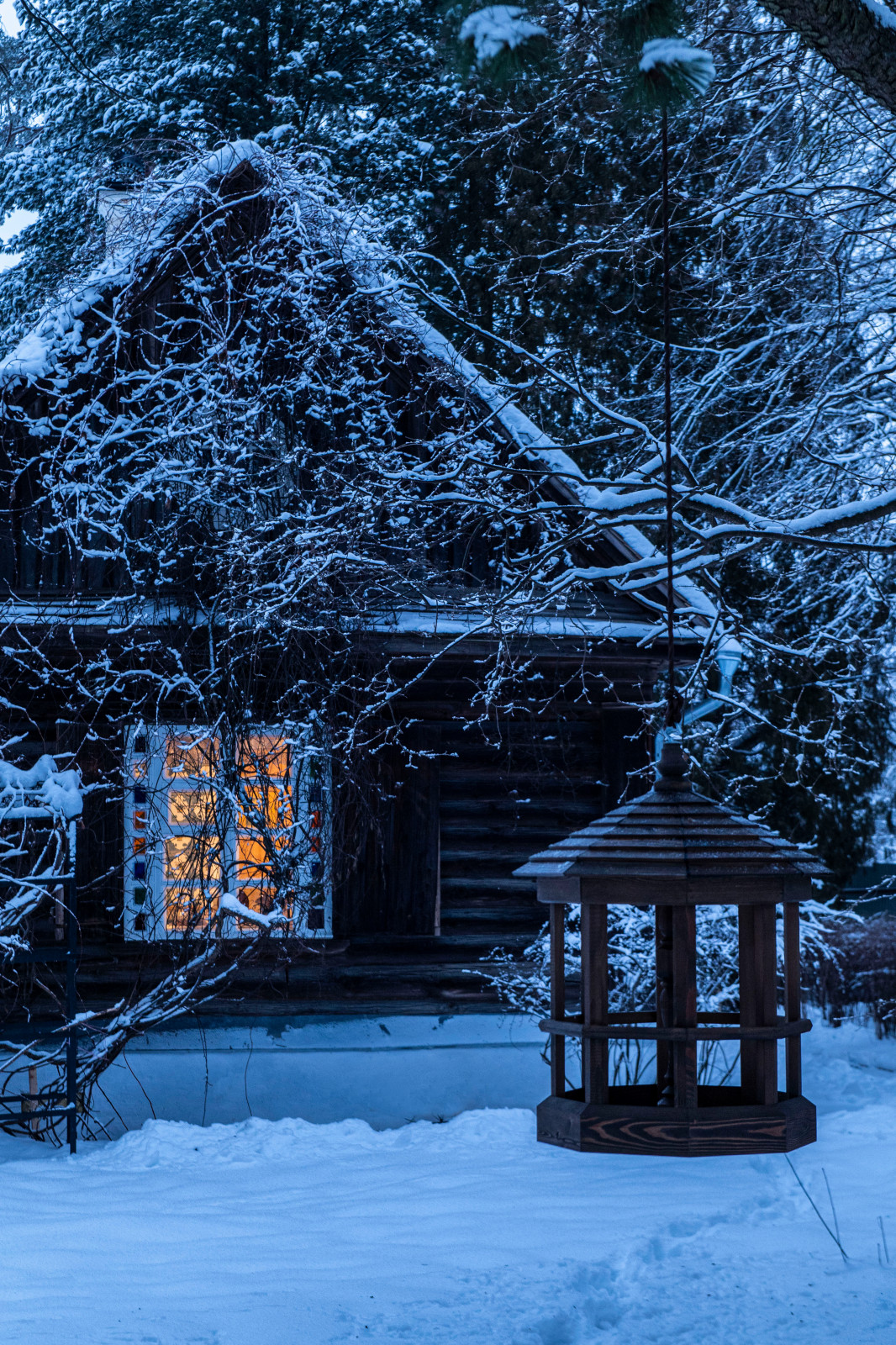 Женя Жданова Таруса, Сад Ракицкого