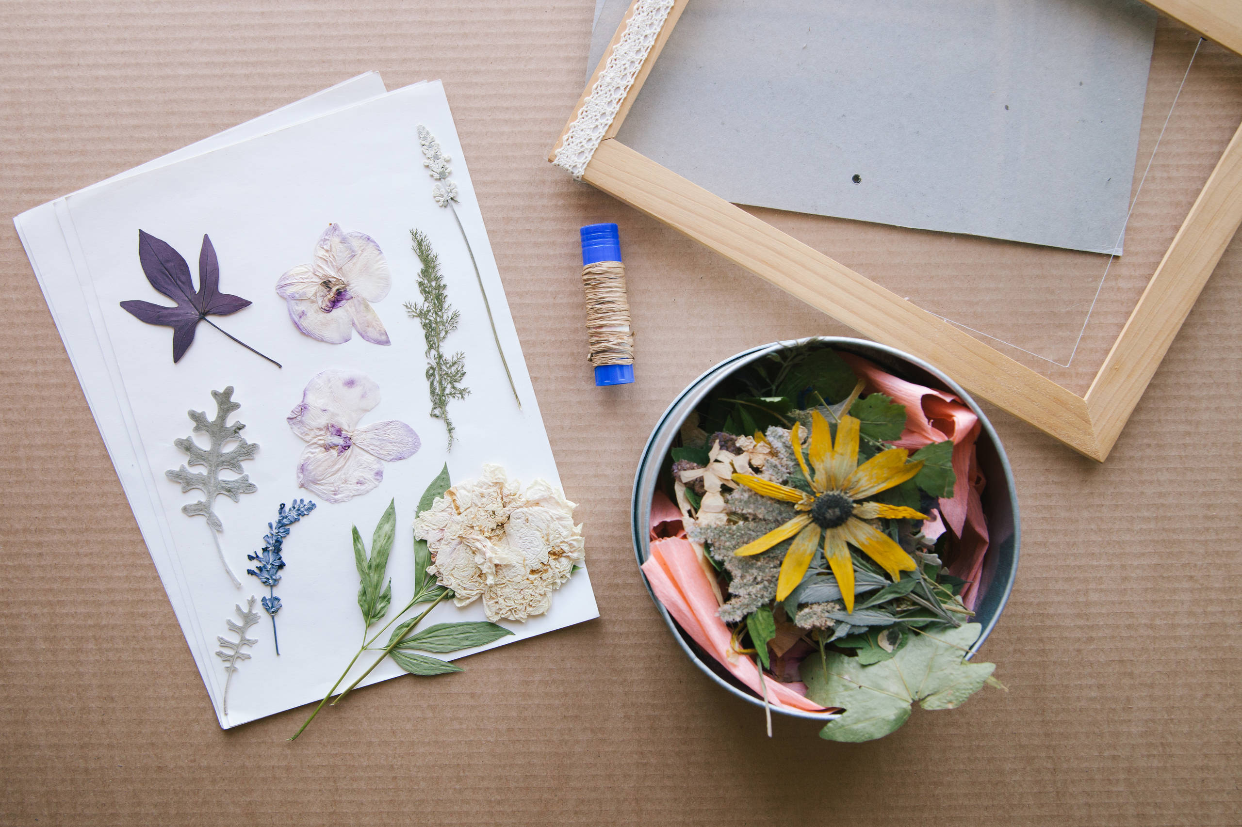 Своими руками: Как сделать гербарий – картину