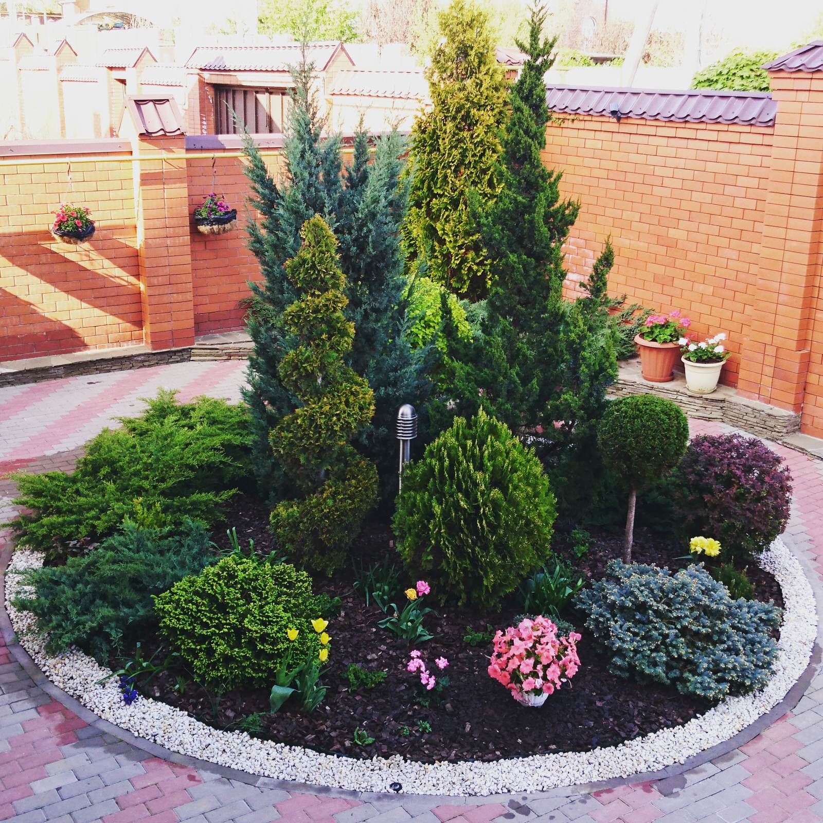 Обложка проекта: Оазис среди каменных джунглей