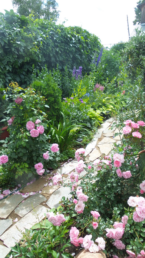 Солнцелюбивые растения для сада: 11 сценариев посадки