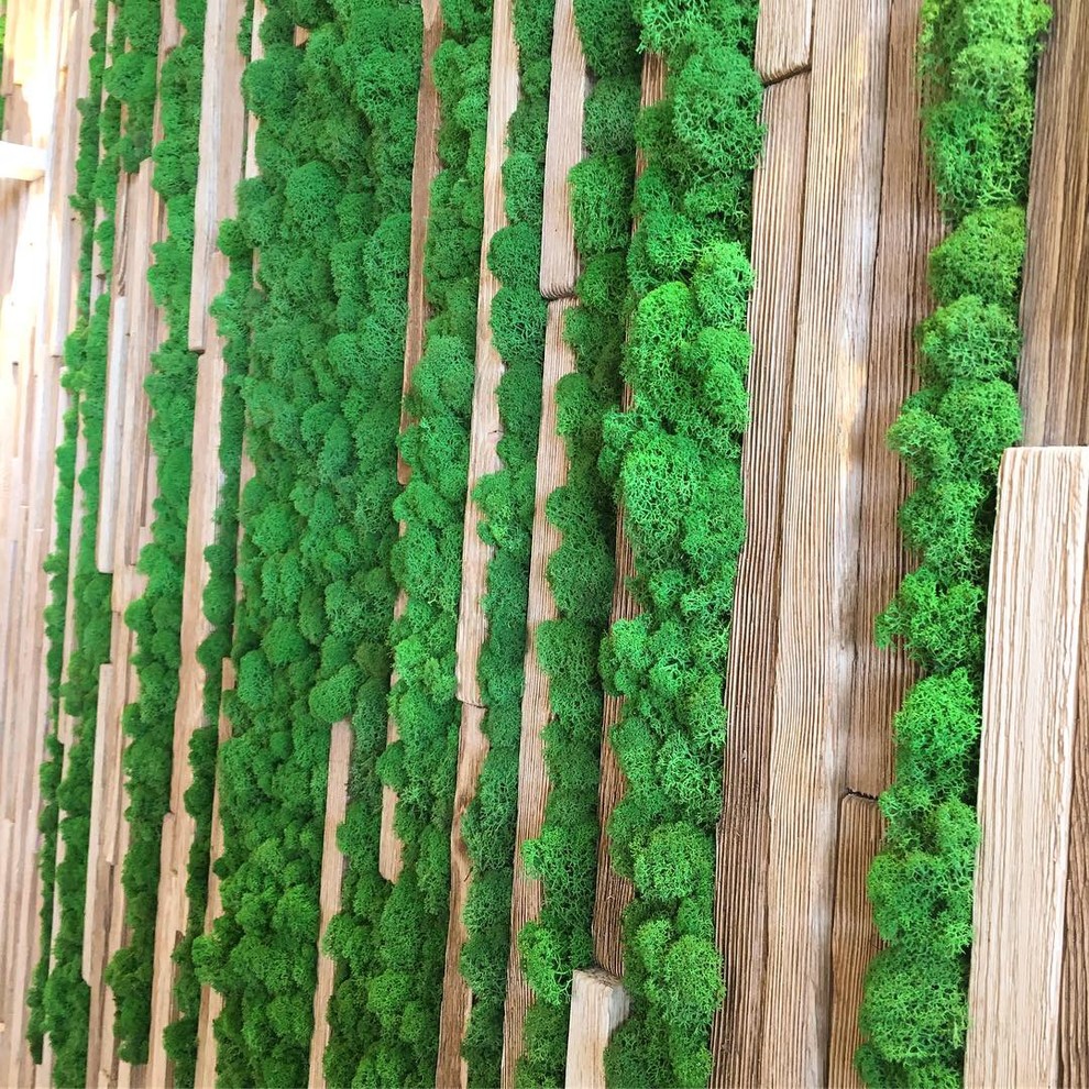 Озеленение мхом частного дома