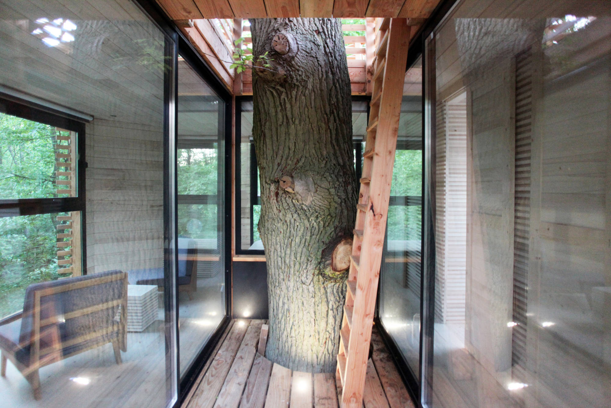 Houzz Франция: Дом на дереве с полноценным санузлом (!)