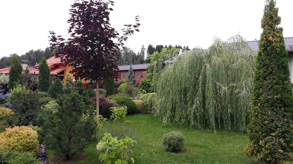 Витро Кантри 2