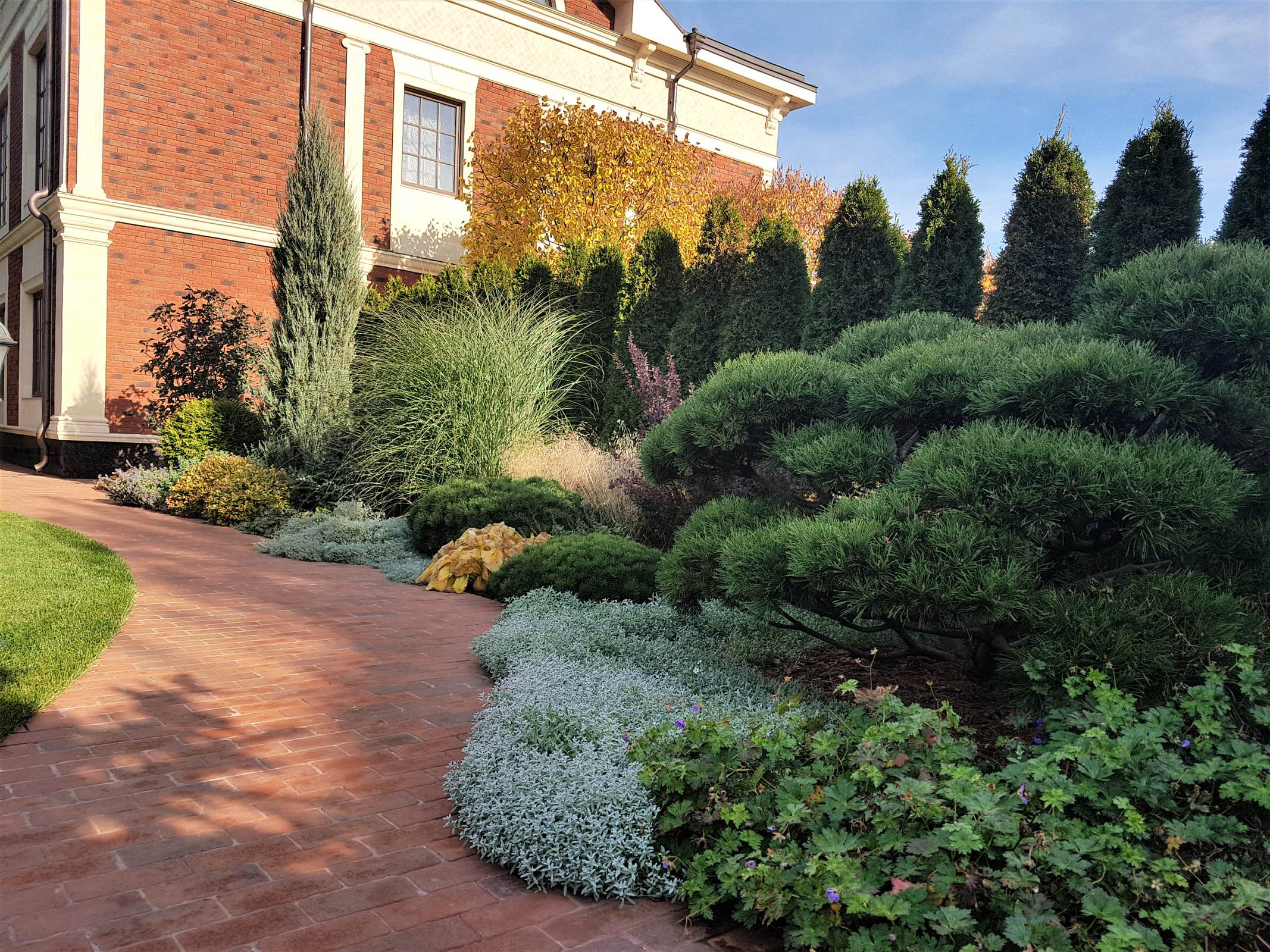 Сад с аурой.Осенние краски.