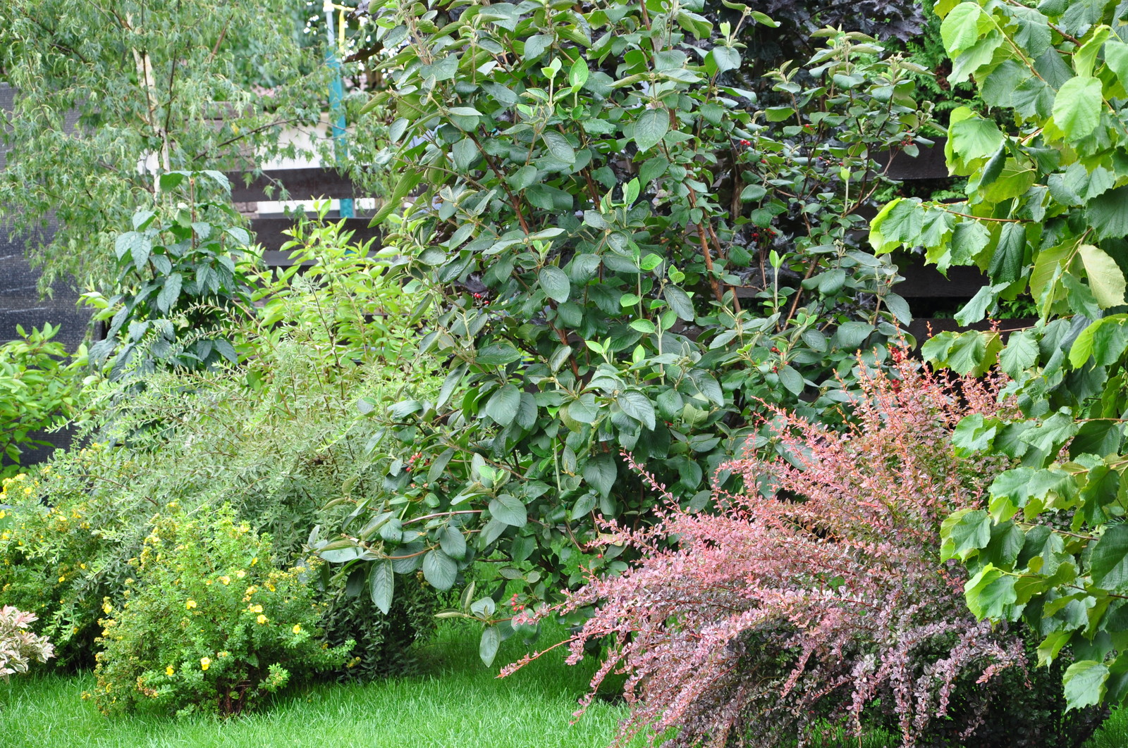 кп "Мелоди" - Уход за садом - 100% качество