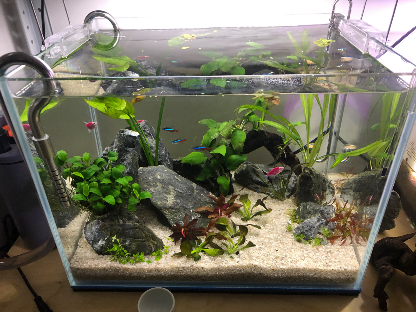 Обложка проекта: Акваскейп "Кубик" аквариум