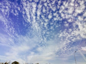 Лариса Скорченко