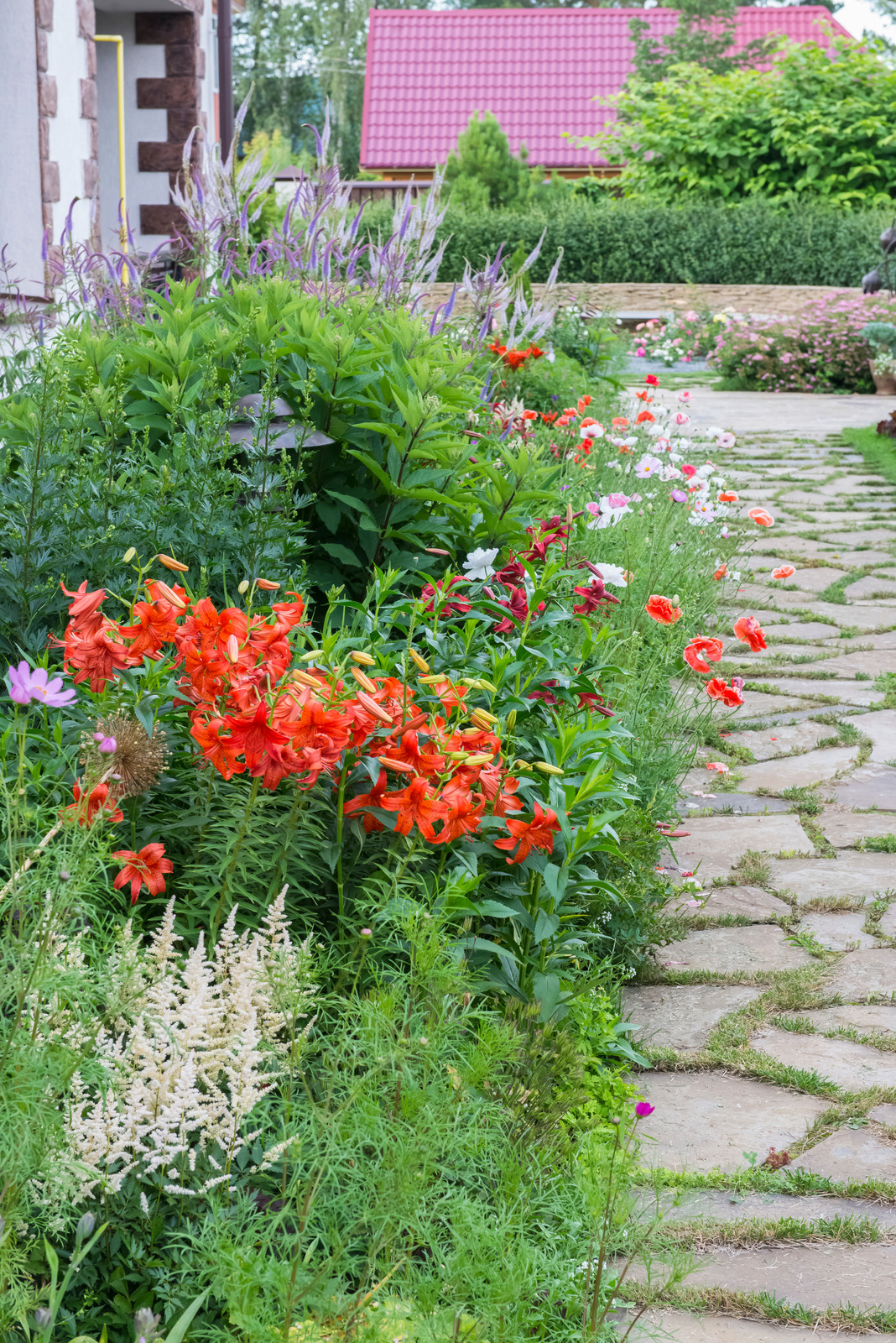 Маленький сад в пригороде