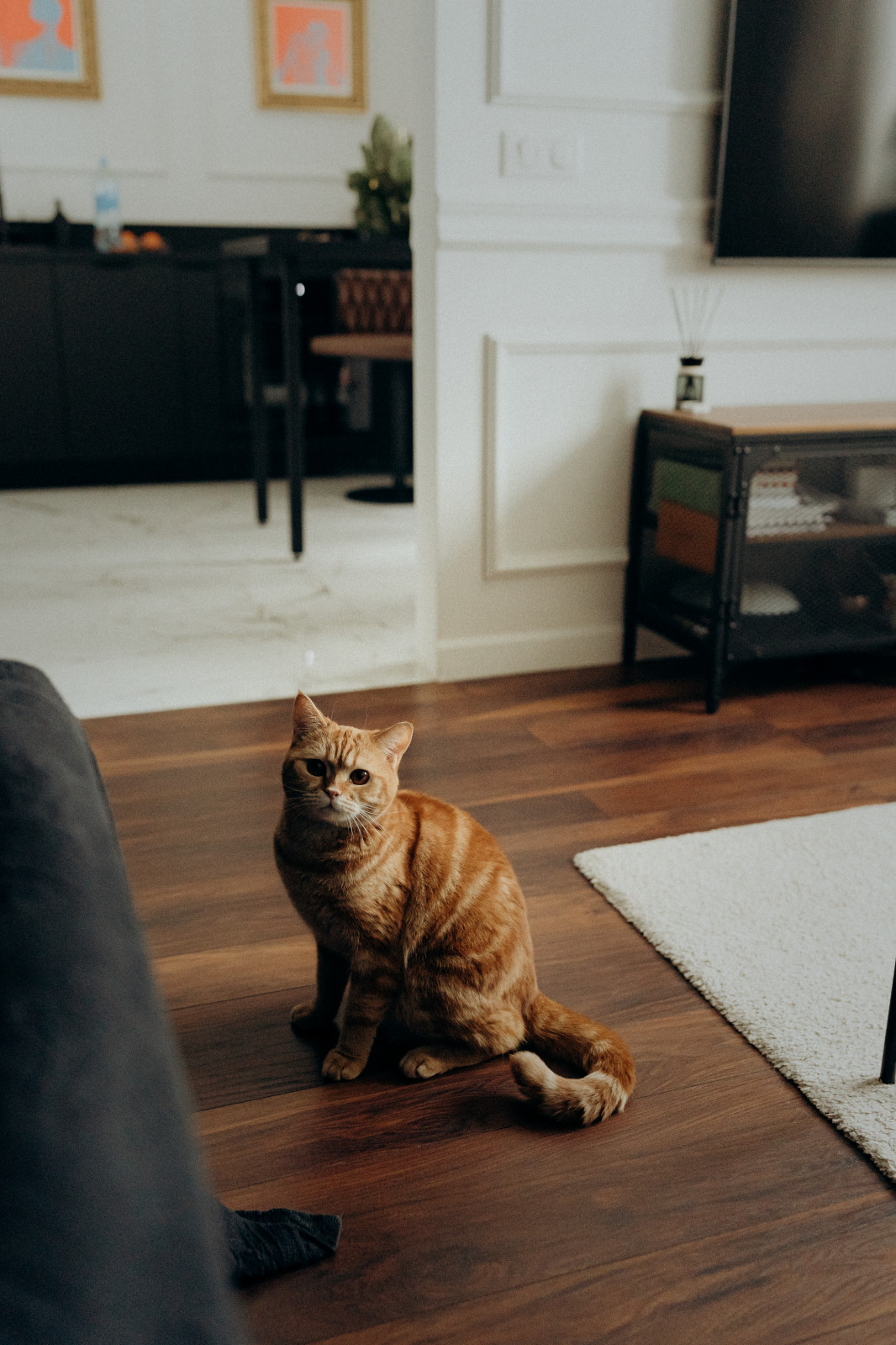 квартира в стиле неоклассика