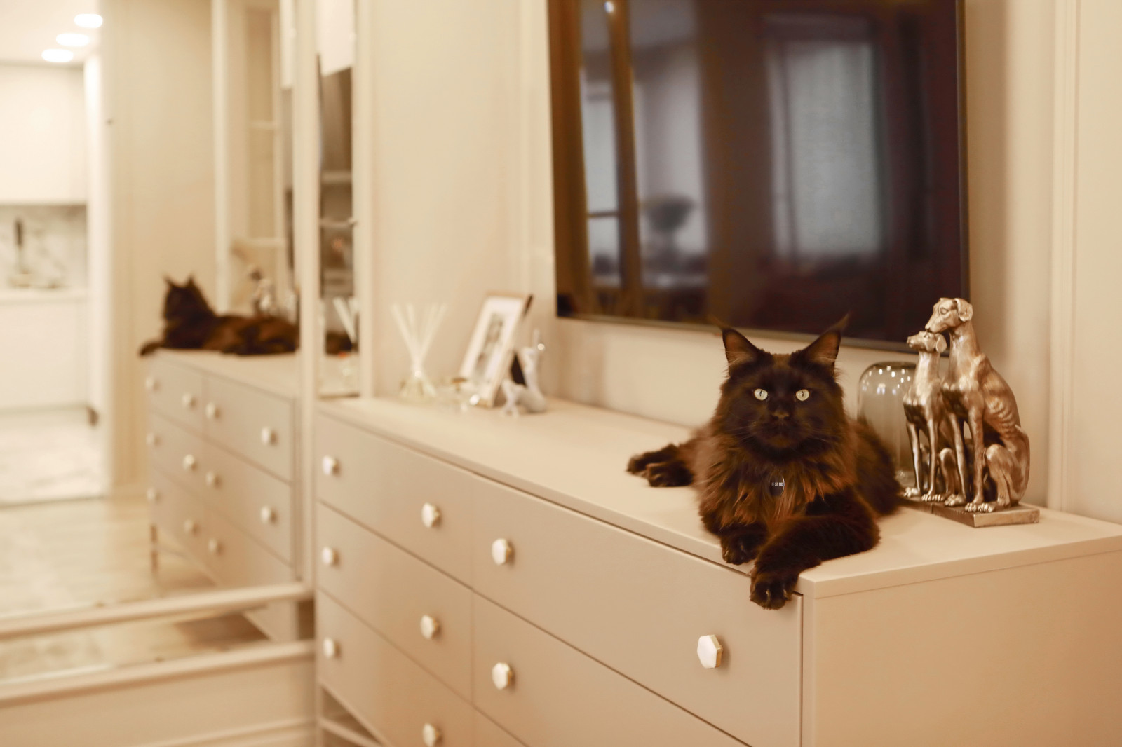 ЖК Цветы, дизайнер Ольга Погосян