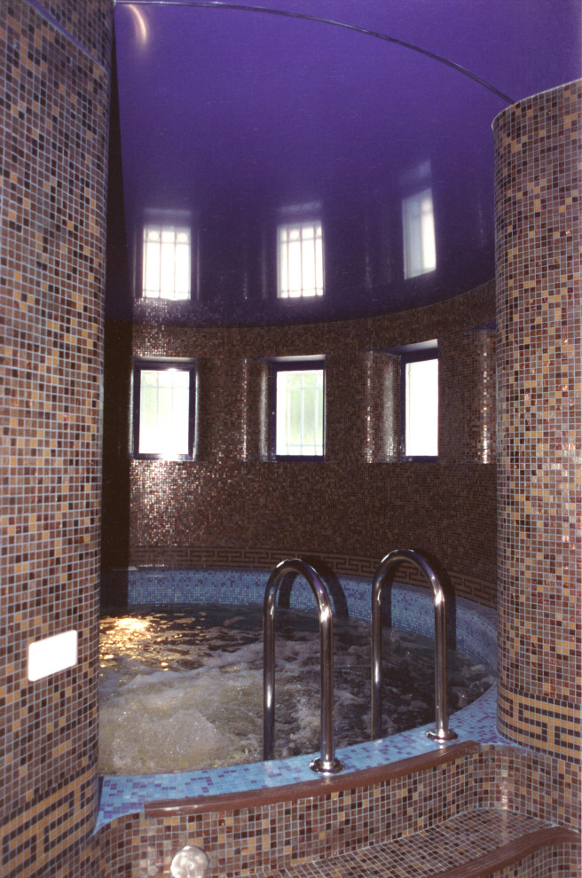 Бассейн на Крестовском острове