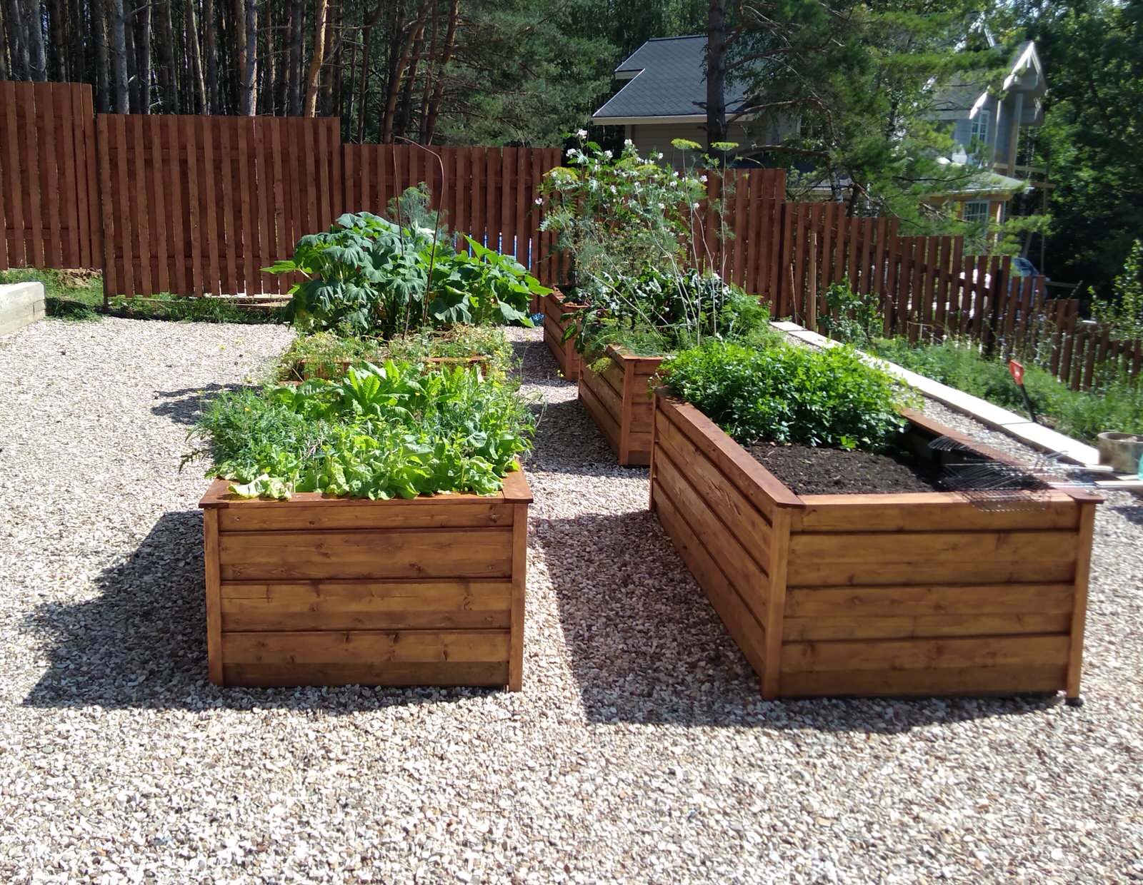 Озеленение дачного участка