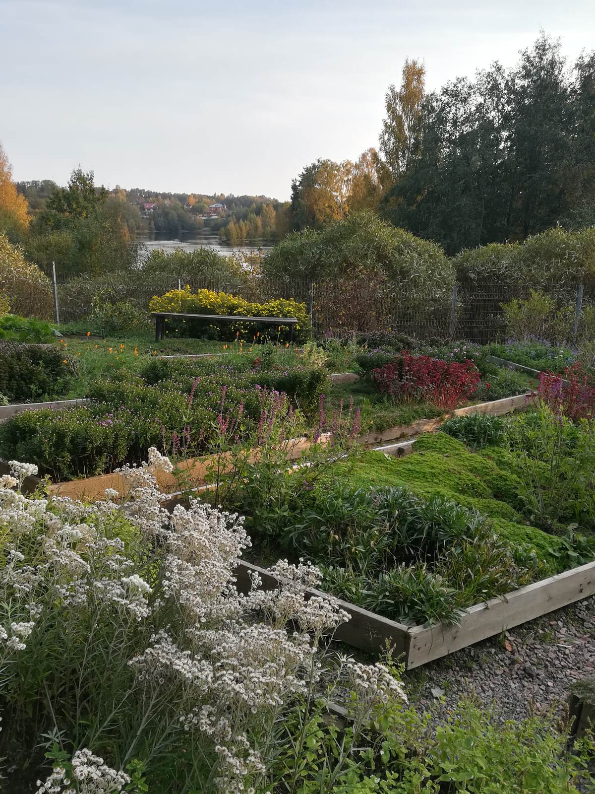 Озеленение рельефного участка в Токсово