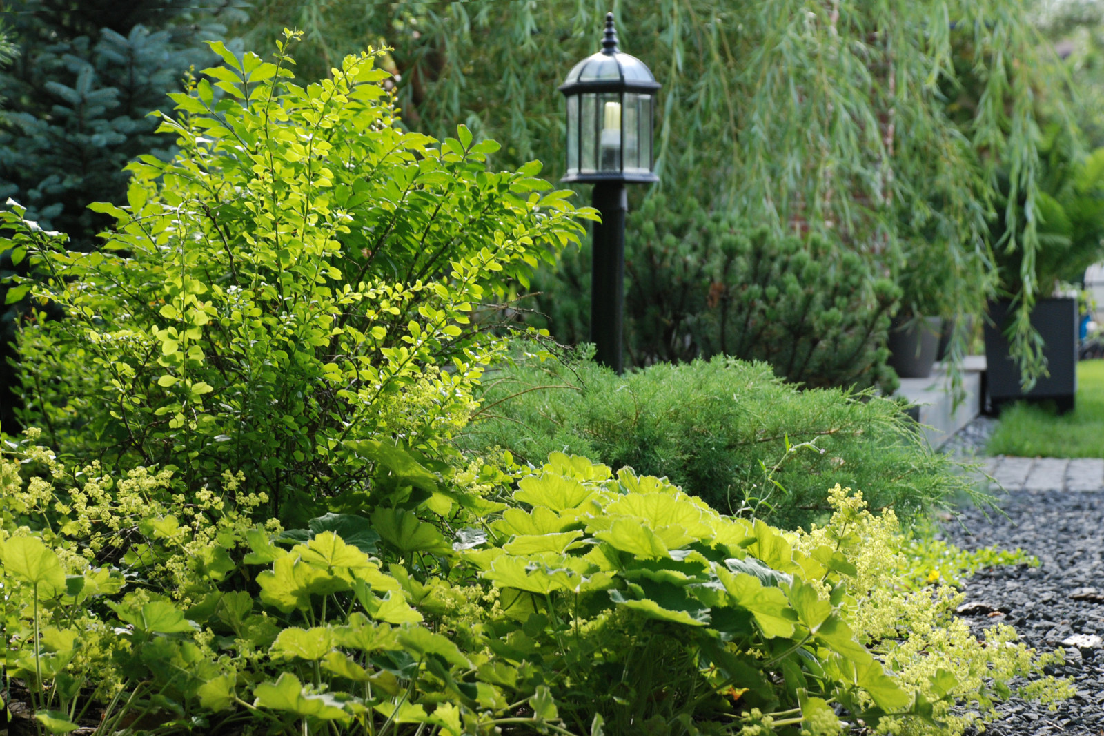 Современный сад в КП "Променад"