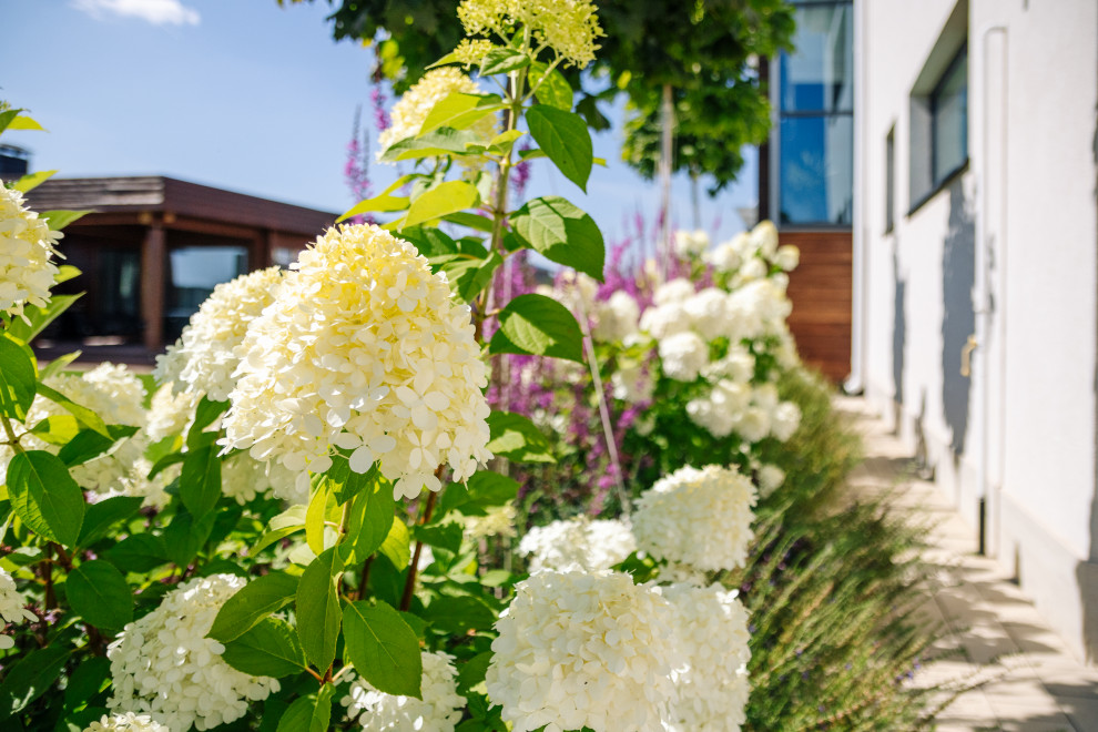 Обложка проекта: Ландшафтный дизайн под ключ