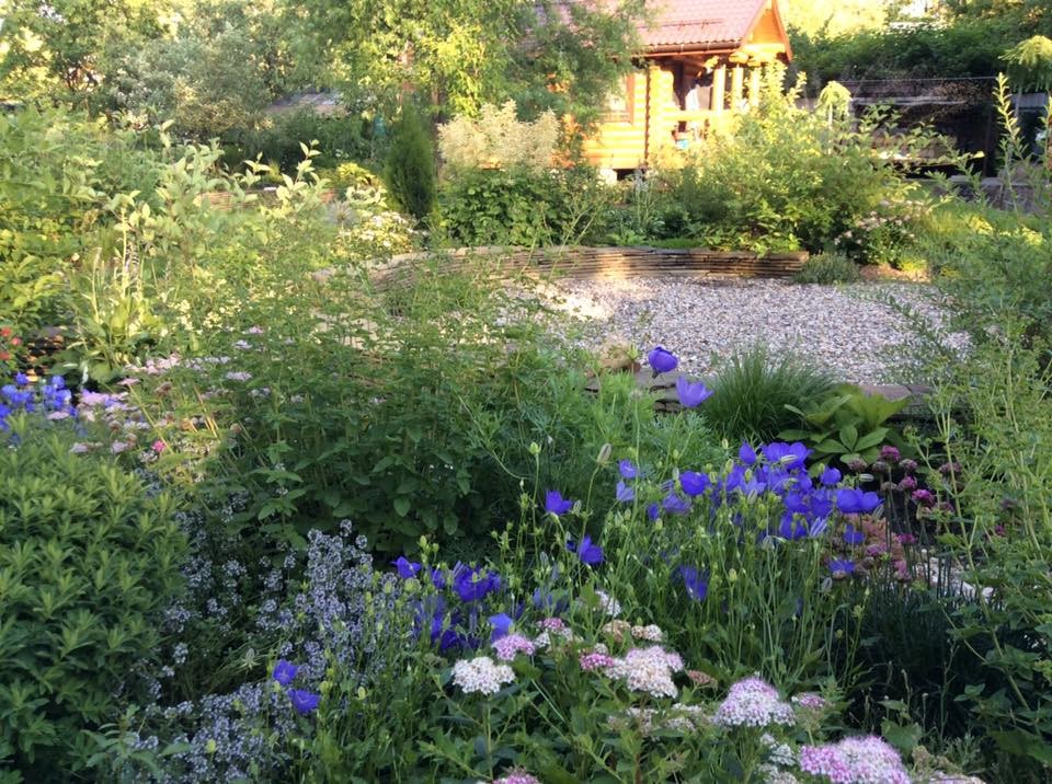 САДИК НА ЛАДОШКЕ (АЛЕНЬКИЙ ЦВЕТОЧЕК)