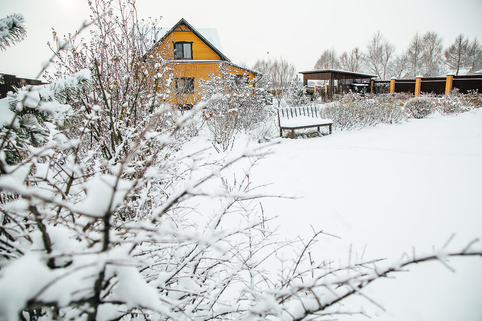 Зимний сад. Ощущение праздника!