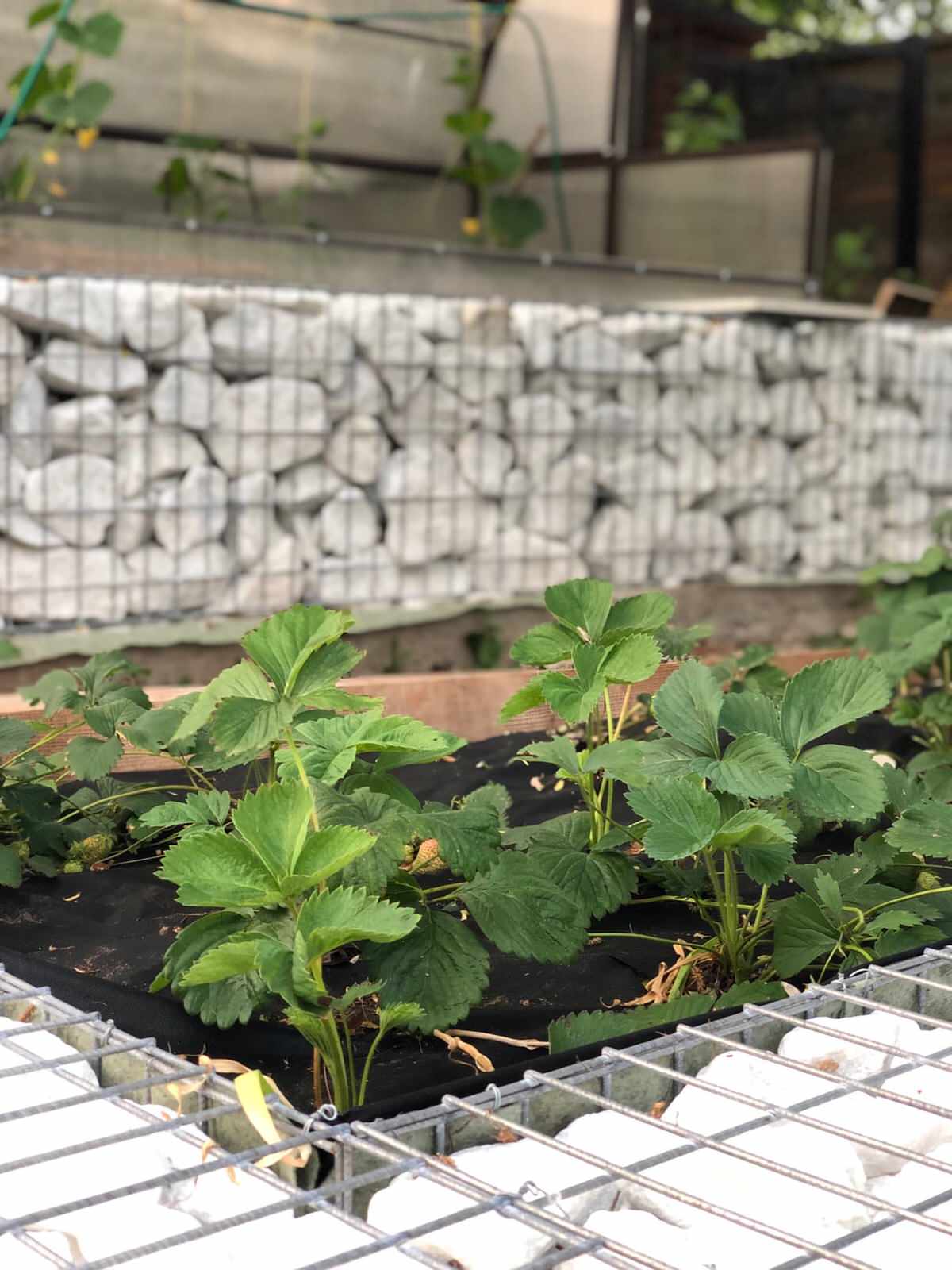 Обложка проекта: Проект участка с перепадами высот