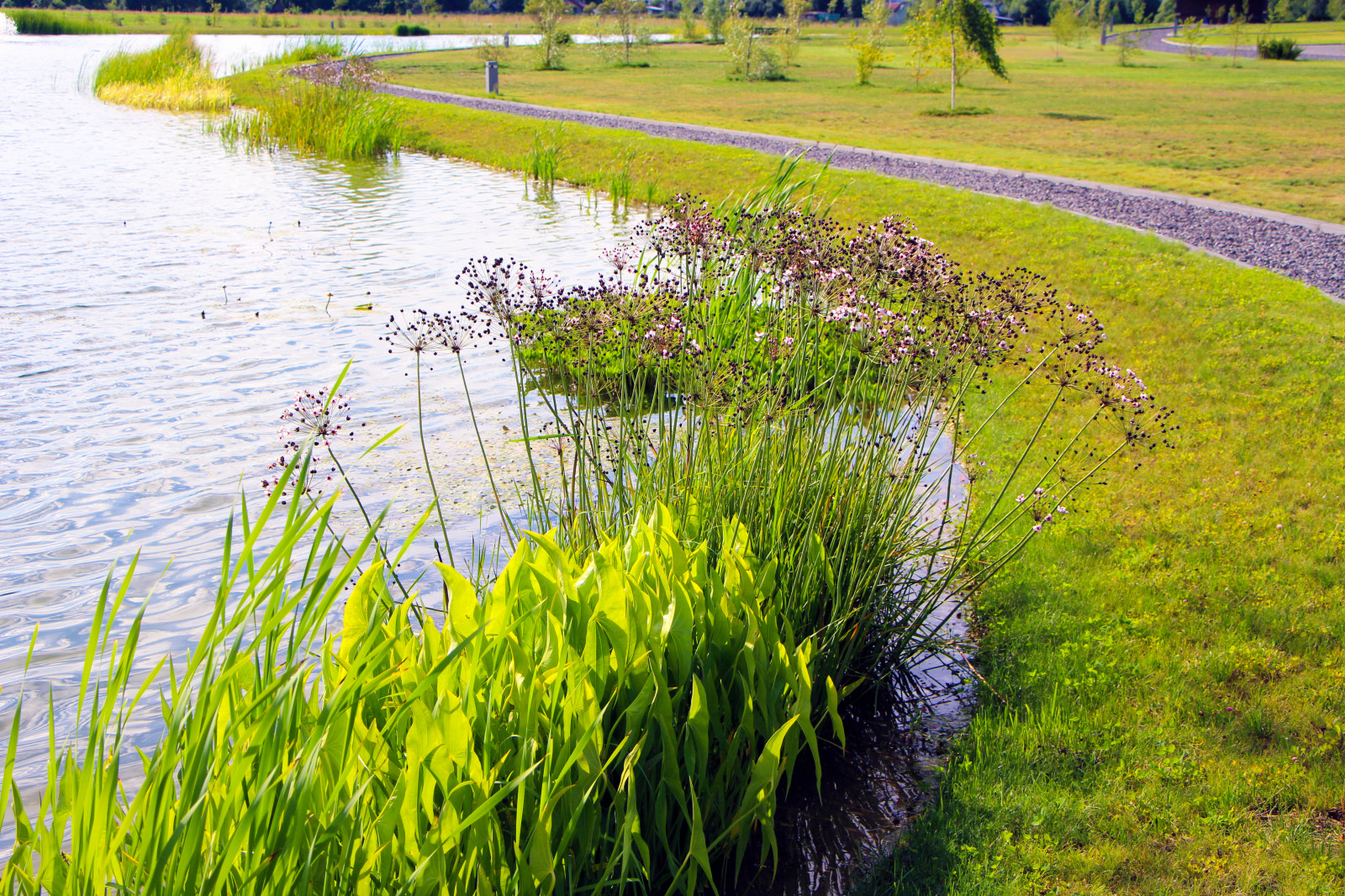 Харламово, 2010-2012 гг.