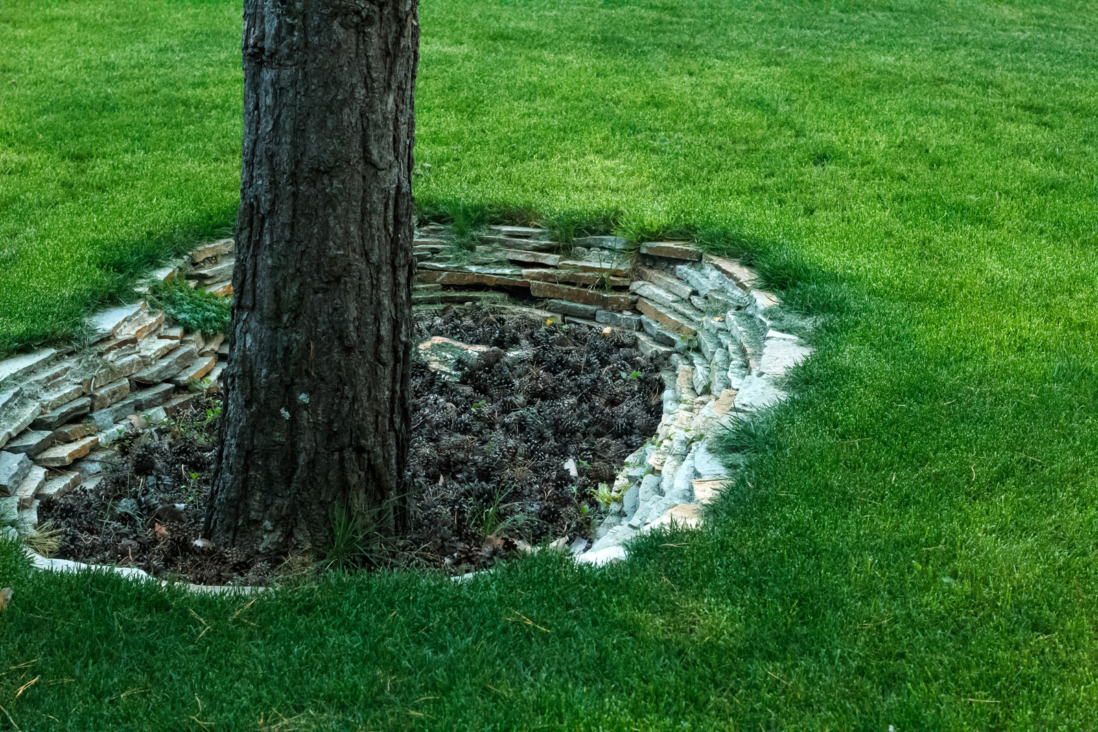 Малоуходный сад