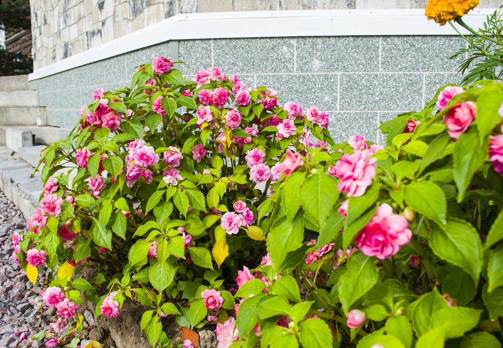 Жилой дом в Ленинградской области