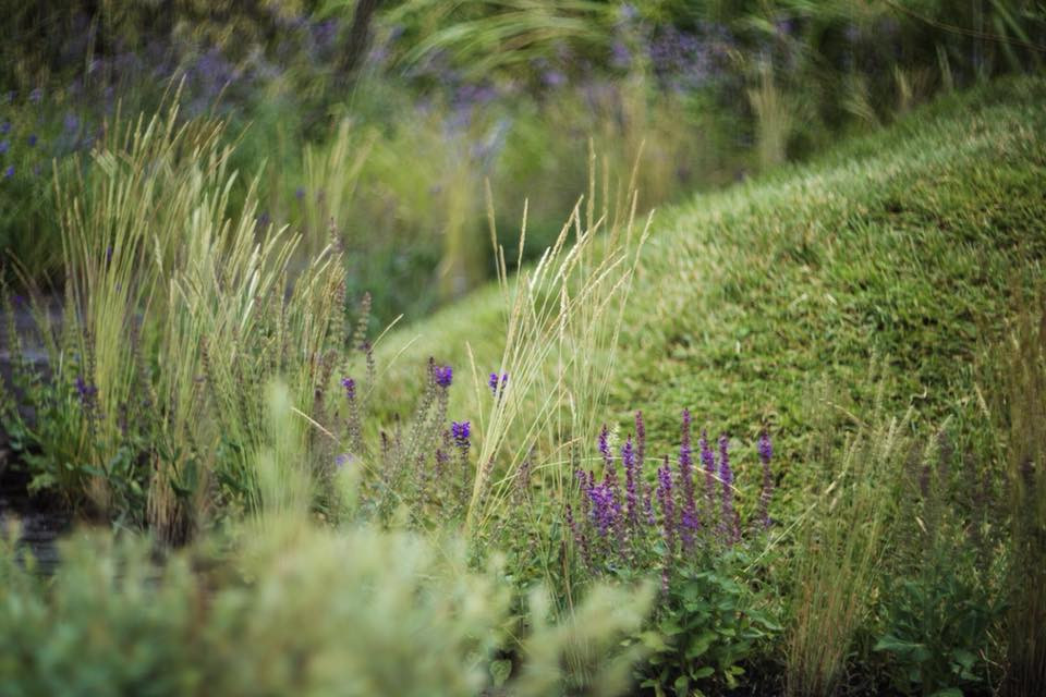 Мини-сад "Ветер в ивах"