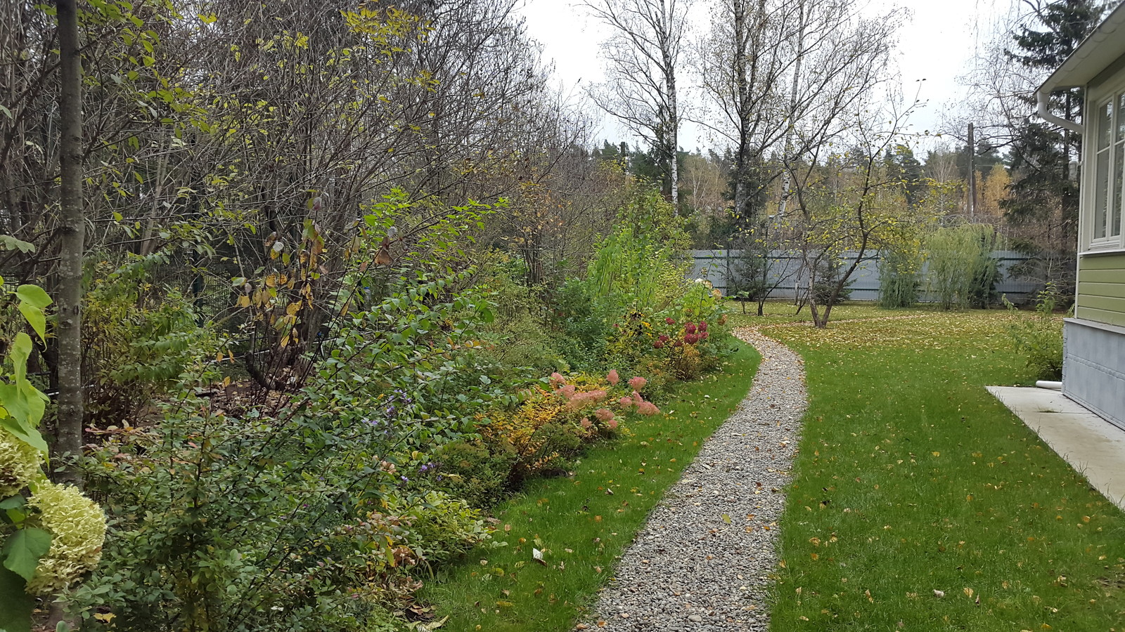 Теневой сад в Молоденово