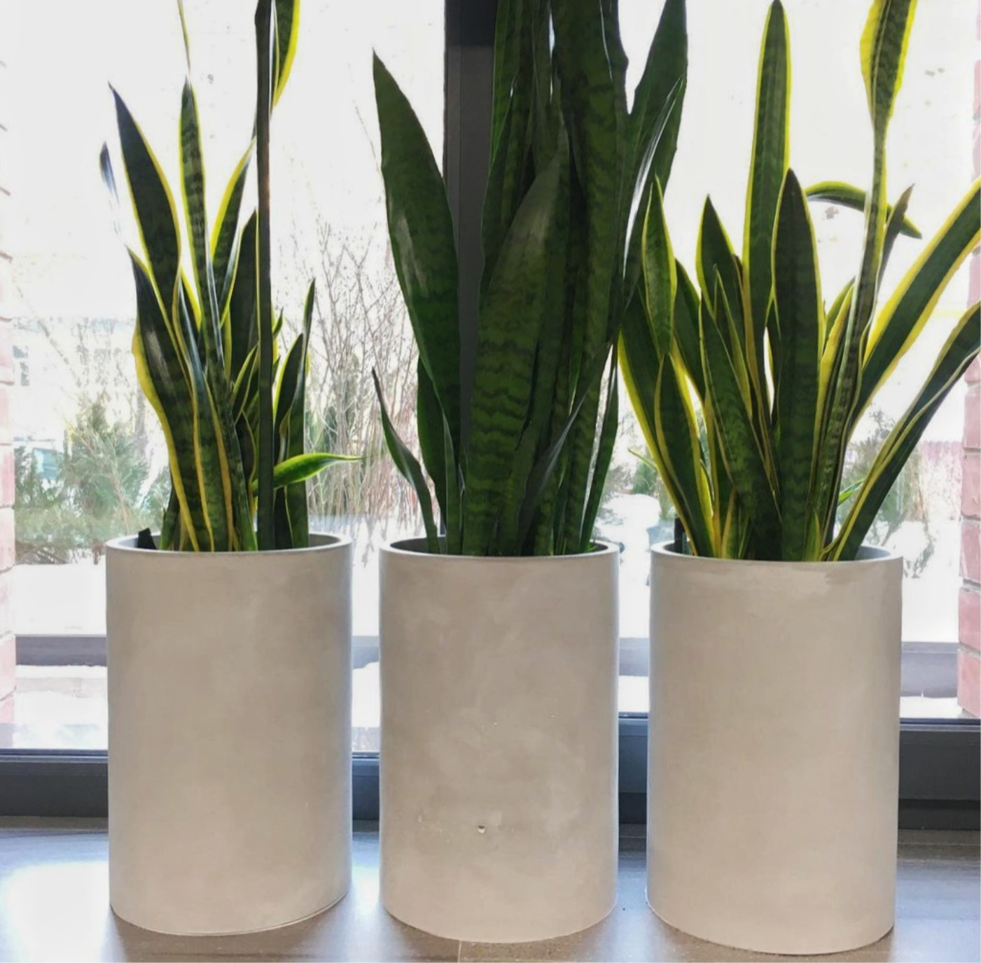 Обложка проекта: Бетонные кашпо