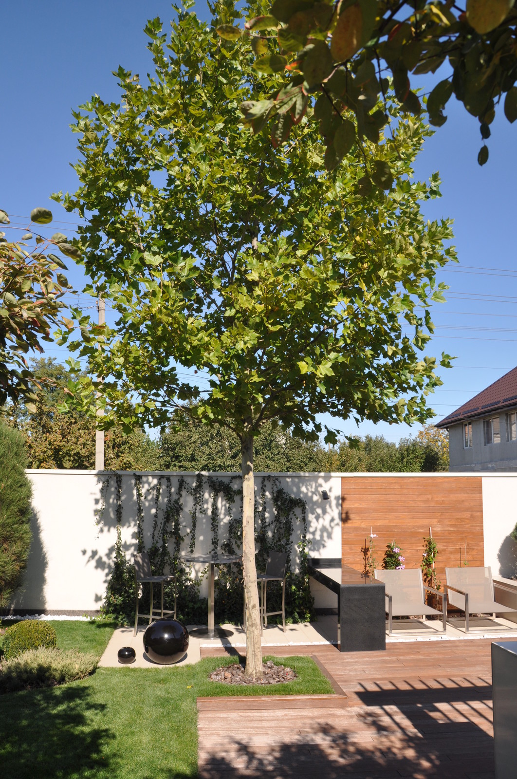 Private modern garden / Частный современный сад.