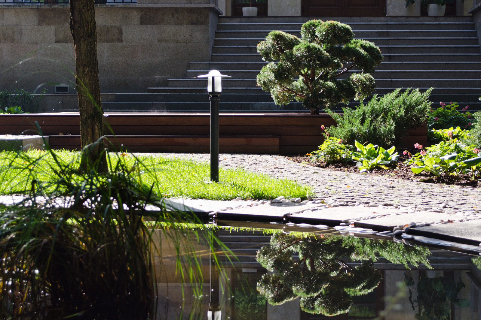 Глянцевый лес