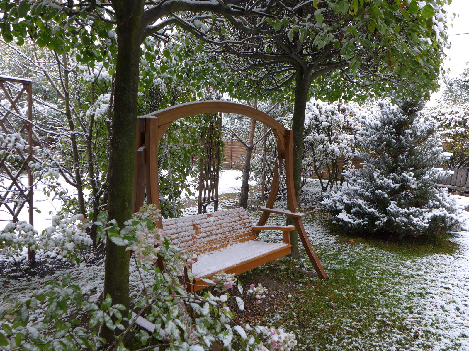 Обложка проекта: Буйство красочных форм в осеннем саду