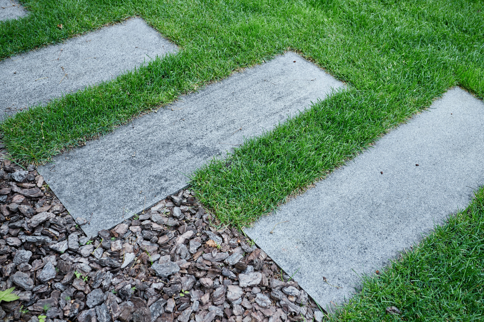 Чистые линии