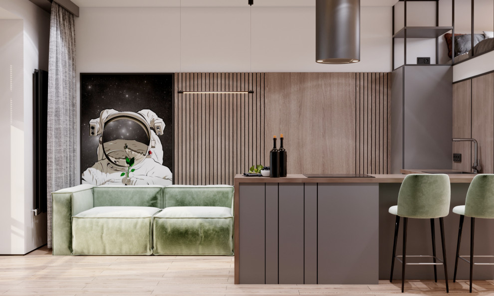 Студия для холостяка