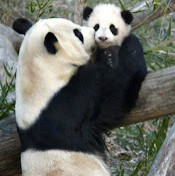 Фото профиля Юлия Опарина