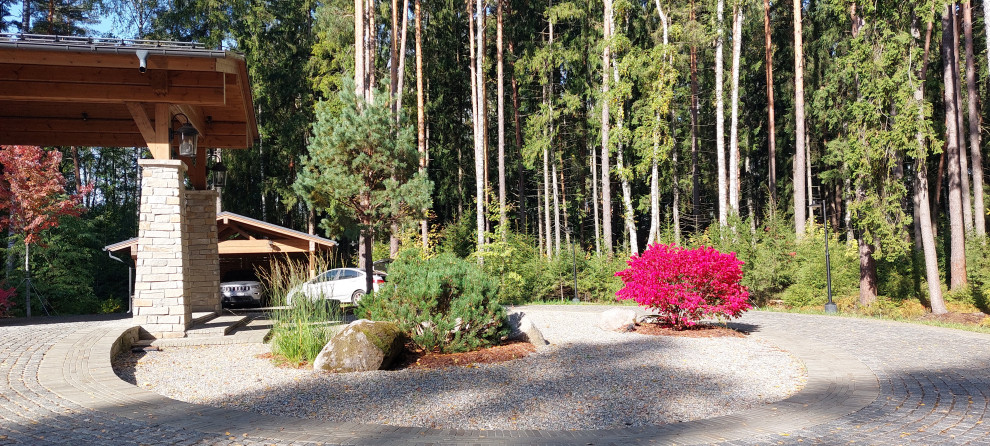 Гармония леса