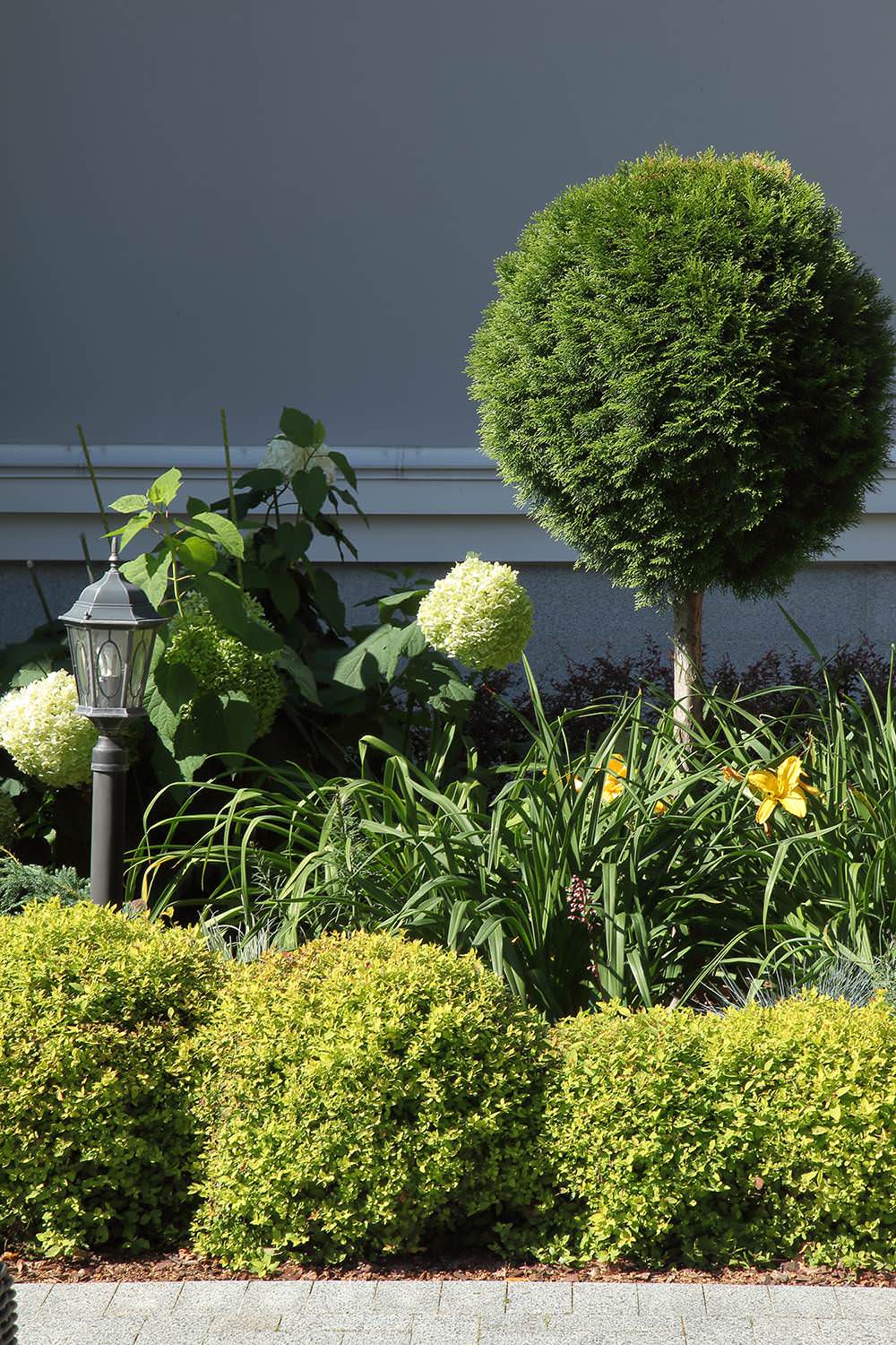 Хочу-могу: Сад «с нуля» —за 500 тысяч, 1 млн и 1,5 млн